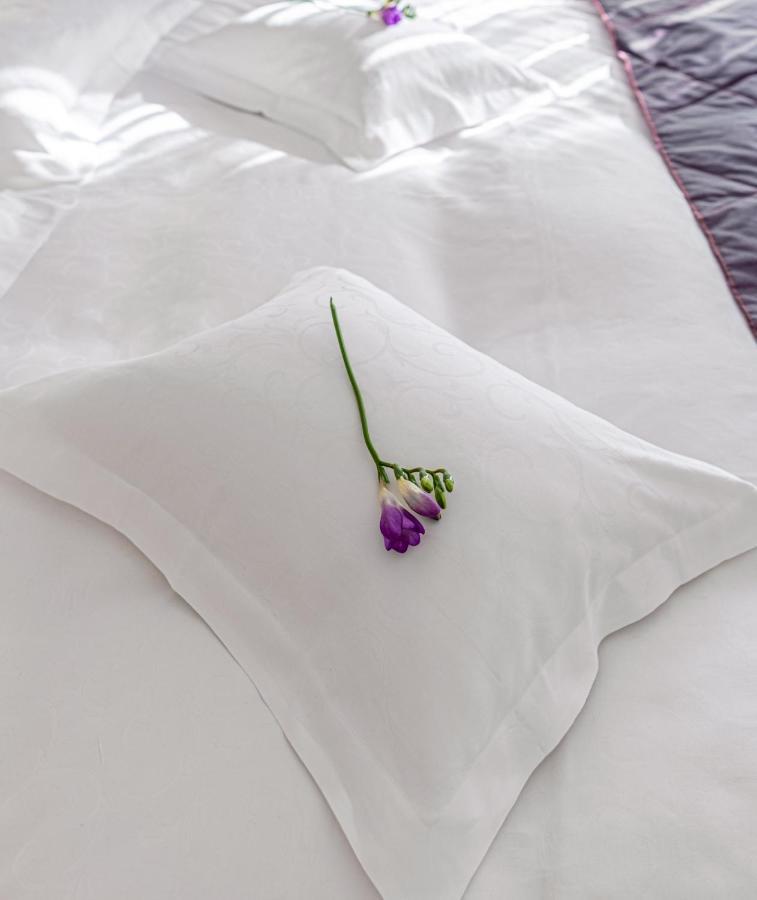 Hotel Miruna - New Belvedere Пояна Брашов Екстериор снимка